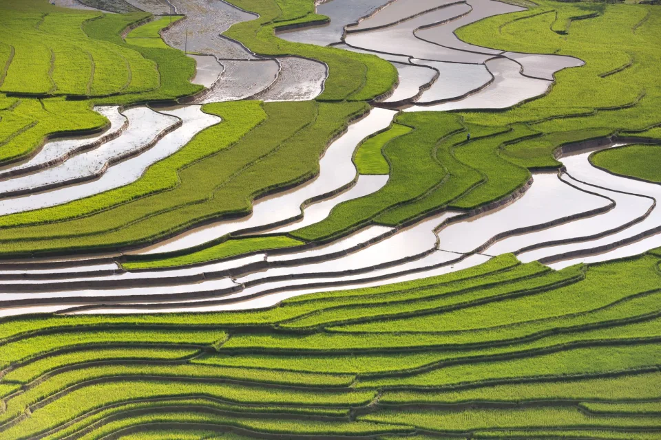 Kho gạo của Lê Văn Chu