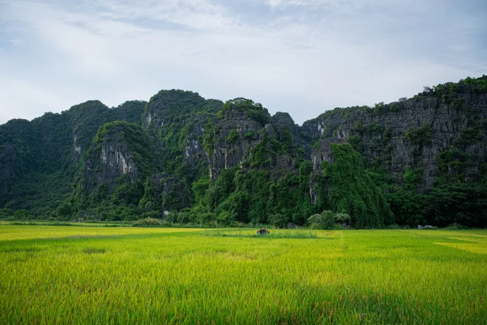 Kho gạo xếp bao
